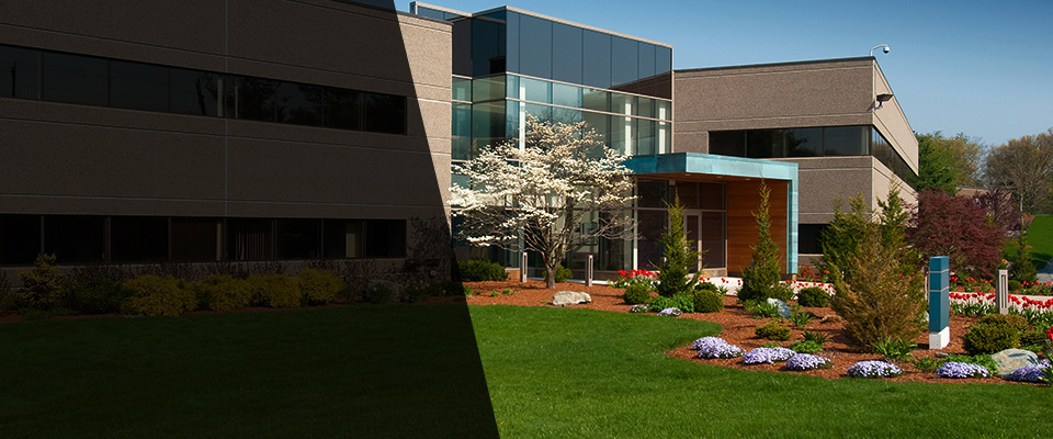 Jourdanton Landscapers