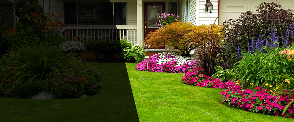Jourdanton Landscapers