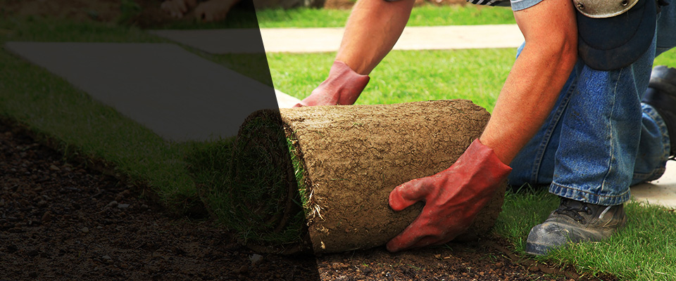 Jourdanton Landscapers